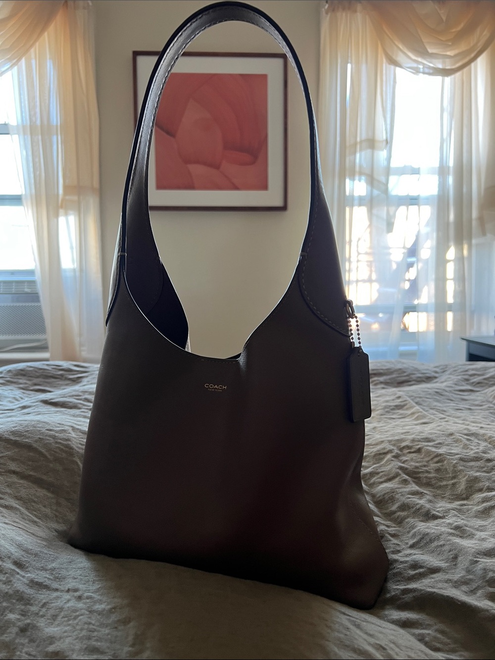 Coach Brooklyn Shoulder Bag 28